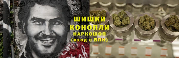 ГАЛЛЮЦИНОГЕННЫЕ ГРИБЫ Среднеуральск