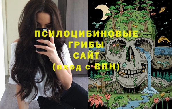 дмт Бежецк