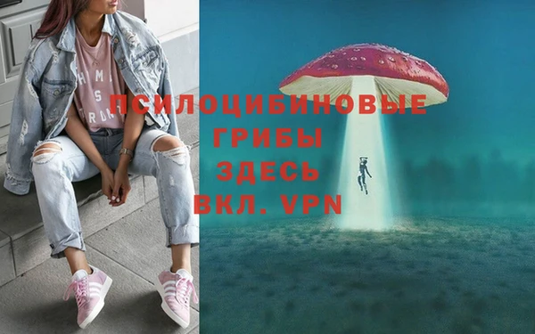 соль курить ск Осинники