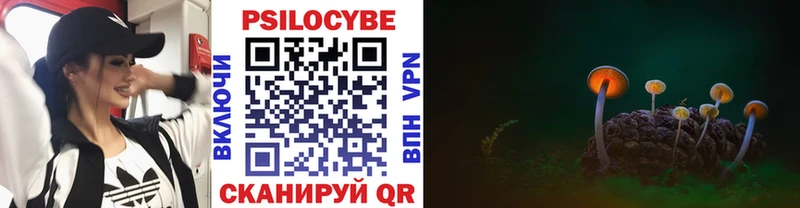 как найти закладки  Артём  Галлюциногенные грибы Cubensis 